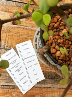 Eucalyptus solid Pantry Labels